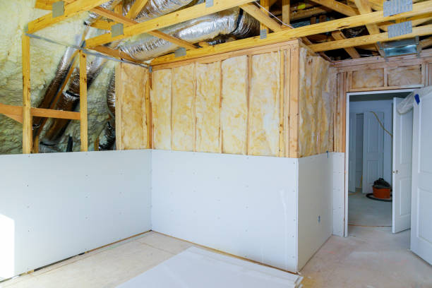 Best Geographic-Specific Insulation Services in Hinckley, IL