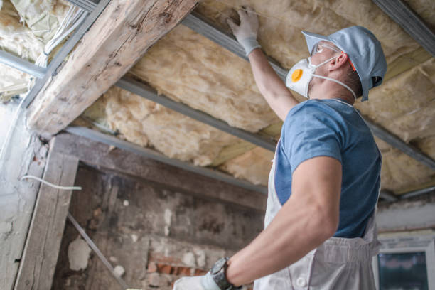 Best DIY Insulation Kits and Guidance in Hinckley, IL