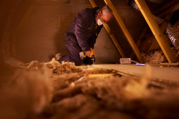 Best Insulation Maintenance and Repair in Hinckley, IL